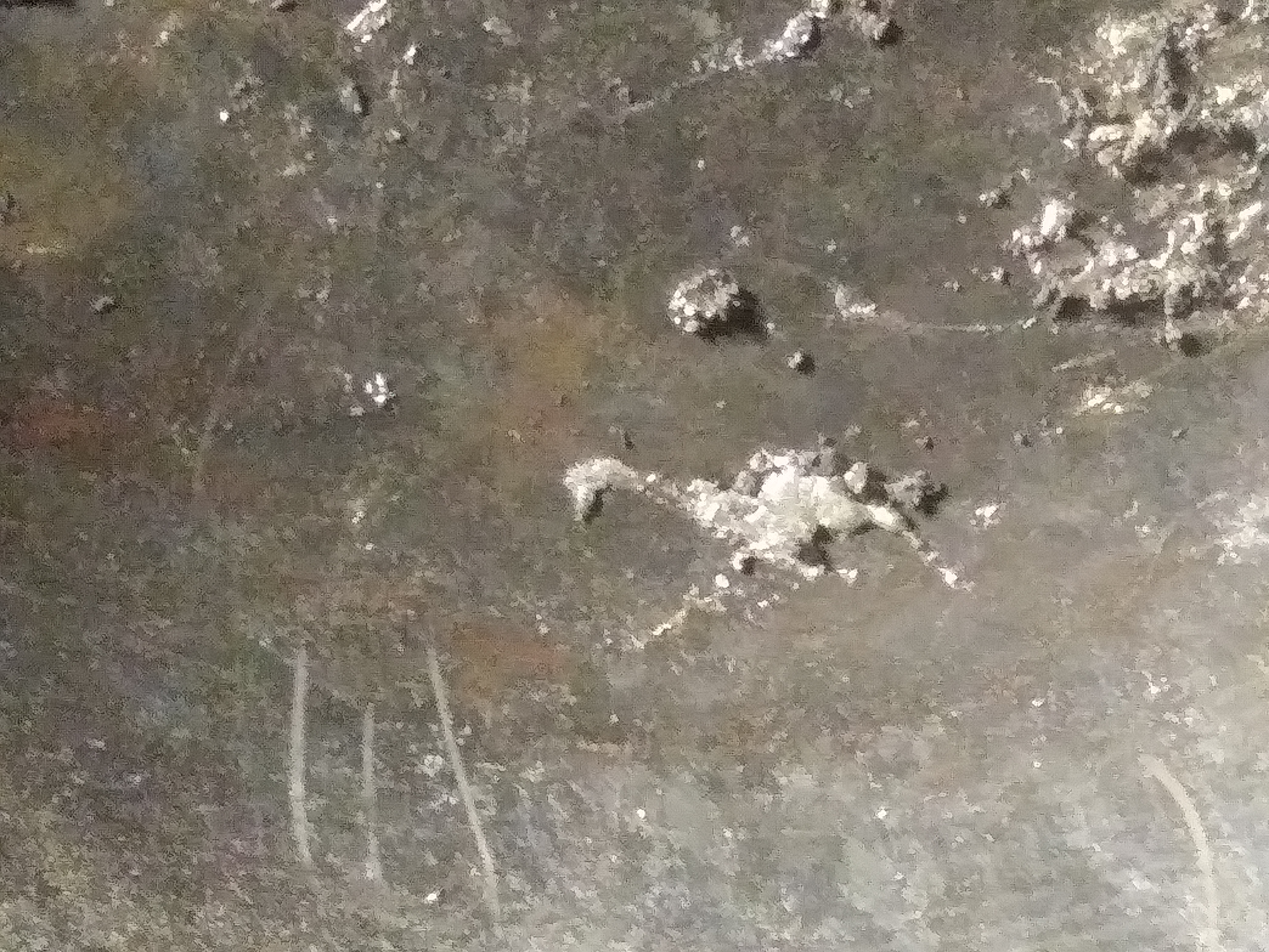 Folder 3 Image 2