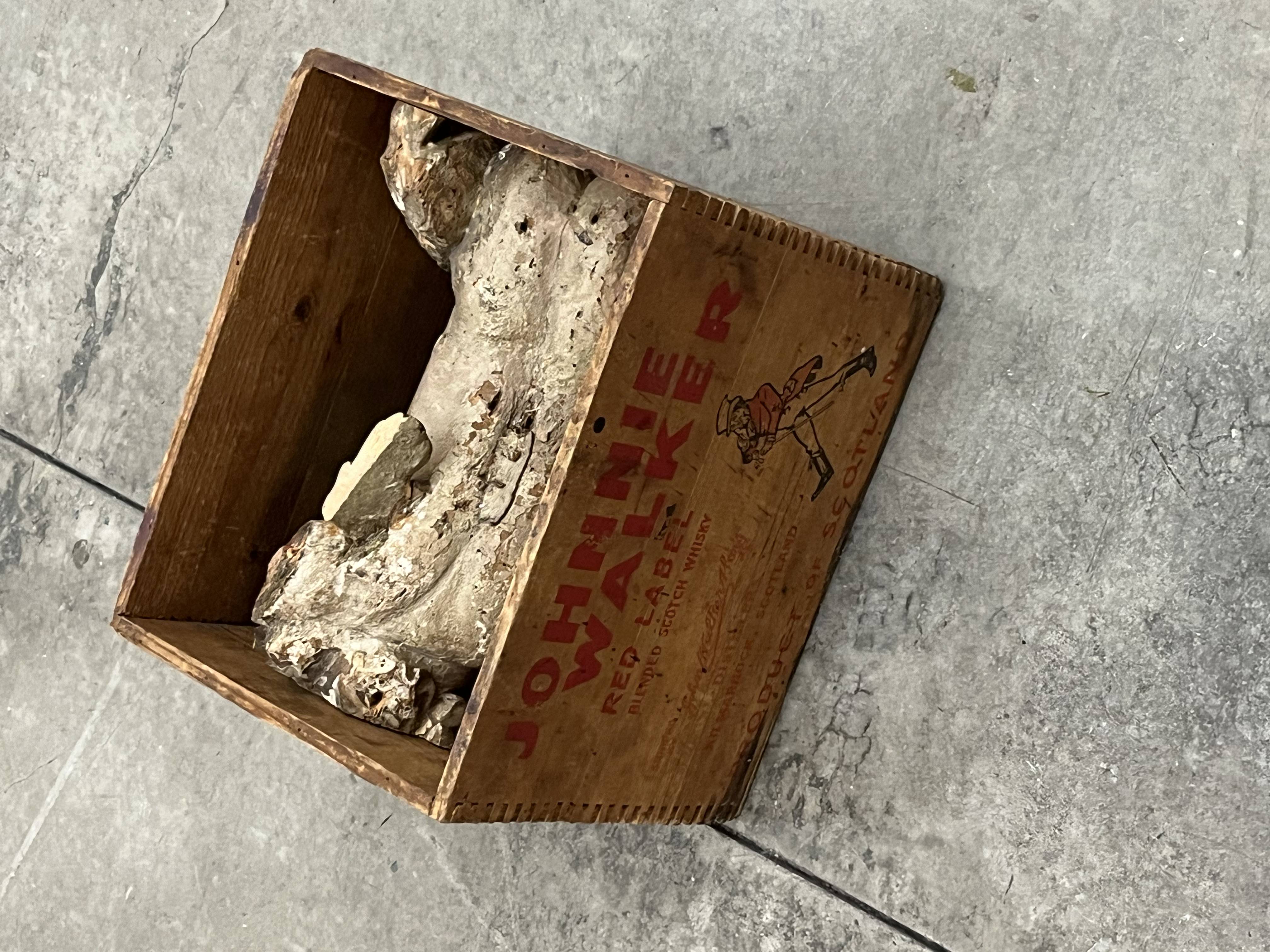 Folder 3 Image 1