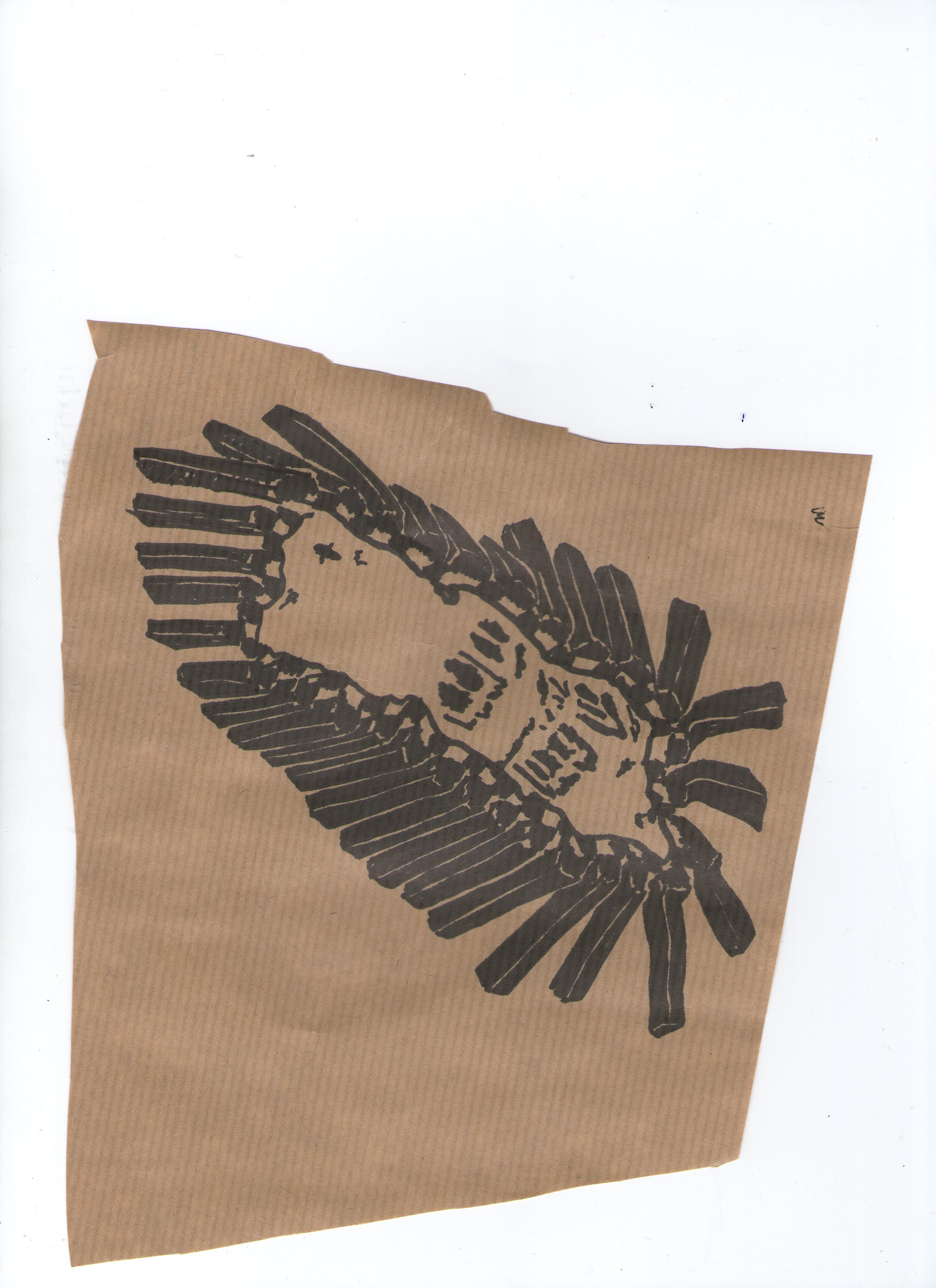 Folder 3 Image 2